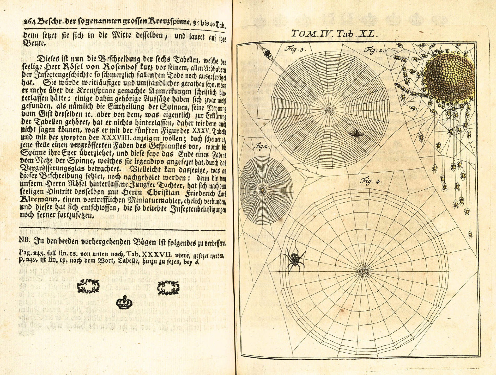 A page from Rosen's book. It shows three intricately-rendered spiderwebs with their makers resting on top. A fly is caught in one. in the top right-hand corner is an illustration of a yellow spider's egg nest, with tiny spiderlings emerging from it.